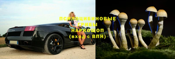 прущая мука Баксан