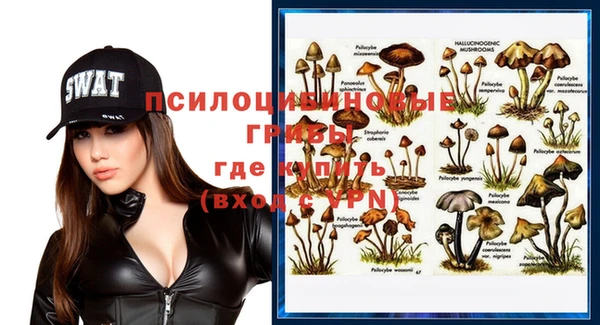 мдпв Балабаново
