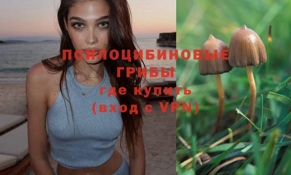 прущая мука Баксан